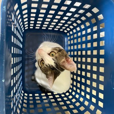 unKyiJjZCiYO1Zx's profile picture. 多汗症 ビューホットとETS手術済み 汗で悩んでる方と繋がりたいです！2022.8.25 リバーサル手術しました。リバーサルの回復経過をこれから呟いていきます。