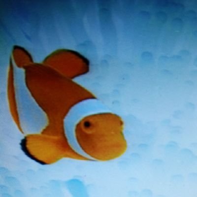 IslamicSwap's profile picture. 