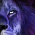 โจ๏ธLyon โจ๏ธ (@lyonzaza) Twitter profile photo โจ๏ธLyon โจ๏ธ (@lyonzaza) Twitter profile photo
