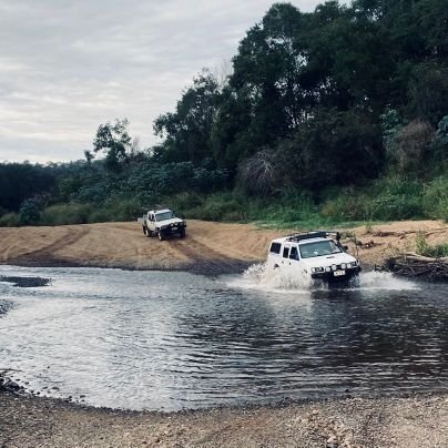 mschi41's profile picture. 