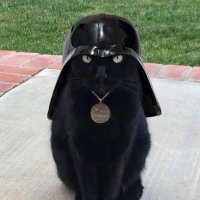 Seik Jaboote (@seikjaboote) 's Twitter Profile Photo Seik Jaboote (@seikjaboote) 's Twitter Profile Photo