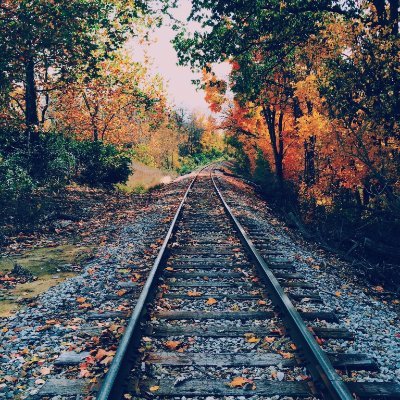 RareLoyalty7's profile picture. You gotta be stronger than your excuses.