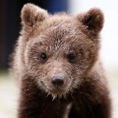 j4ged's profile picture. 