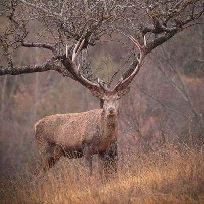 amitankur's profile picture. Politically socialist, Data Cruncher, softer to new ideas! , Out of the box .