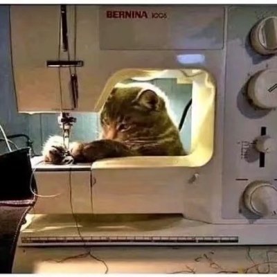 pythongirl95697's profile picture. 