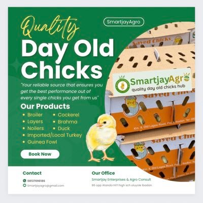 We supply quality day old chicks Broiler, Pullet, Noiler and Turkey Nationwide. RC 3077442