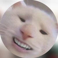 Zeno Tiger (@zenotiger329716) 's Twitter Profile