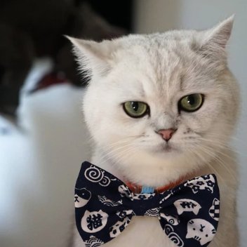 ztest04's profile picture. It’s up to you how far you’ll go.