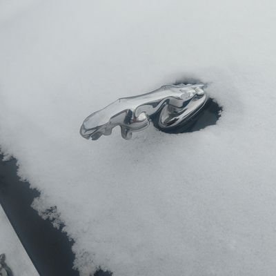 Like1776Dude's profile picture. One Life Matters. 

I like Jags, Mopars, Old Corps, The Gospel, Banjo music, Backwoods, busting absurdity