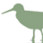 TeesCoast's profile image