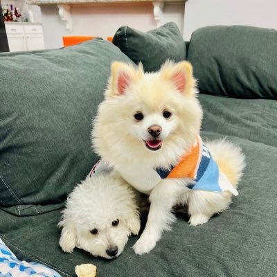 bullionman02's profile picture. Don't let what you cannot do interfere with what you can do.