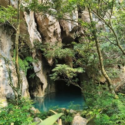 Abandoned Valley is the perfect spot for a day of adventure in Phong Nha. This valley is located in the heart of the national park and offers a unique experienc