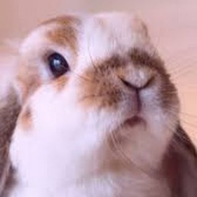 KylaMarieM56728's profile picture. 