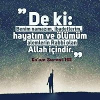 YOLCU (@tevhidehli__1) 's Twitter Profile Photo