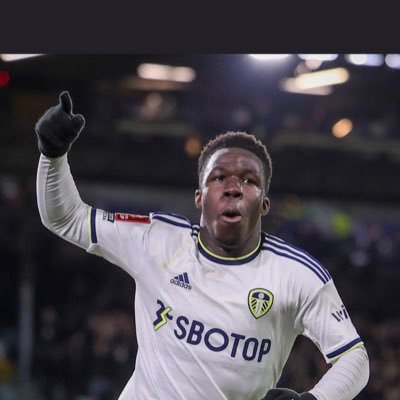 benfulllll's profile picture. Leeds United Till I Die 💛💙💛💙