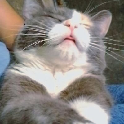 MariaSalazarSoy's profile picture. Hey