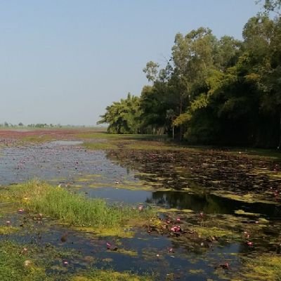 Rohan0388's profile picture. Be Simple...Stay Humble🙂