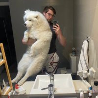 jayke (@jaykelol) 's Twitter Profile