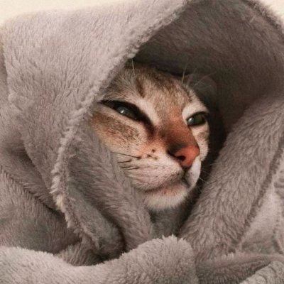 itslenie's profile picture. frontend developer 🌙
