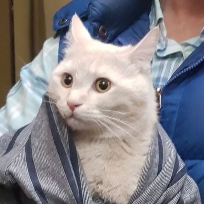 vanilgsi's profile picture. 
