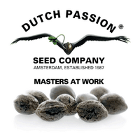 Dutch Passion(@DutchPassion_) 's Twitter Profile Photo