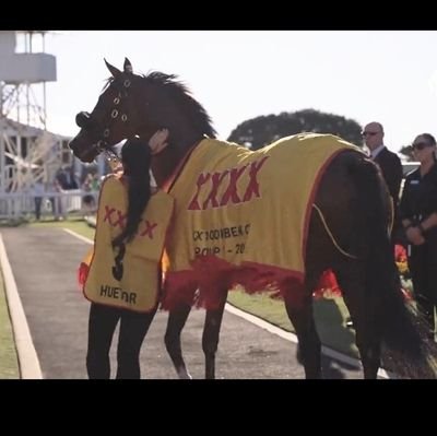 Horses. 
Dundalk FC ⚽️
🇮🇪🇦🇺
Snowden Racing 💪🐎