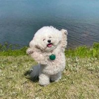 응콩이닷 (@kongbini2) 's Twitter Profile Photo