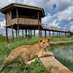 ctcconservationcenter (@ctcconservation) Twitter profile photo ctcconservationcenter (@ctcconservation) Twitter profile photo