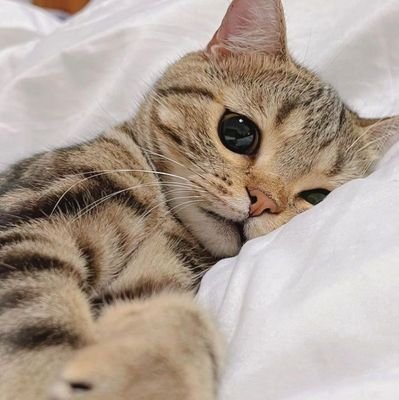 Tasb79's profile picture. 