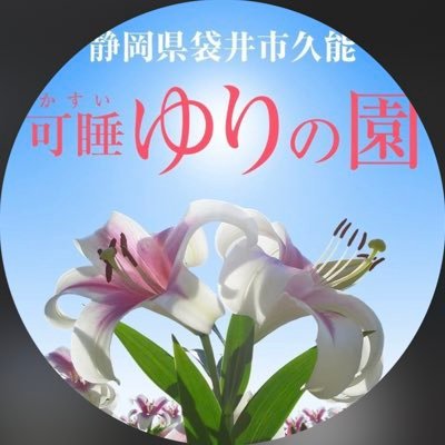 可睡ゆりの園公式アカウントです。R5.5/27開設 静岡県袋井市久能2990-1 2025年度の開園期間は5/24-7/6(予定) HP⇒ https://t.co/CjHkS9Dxvr Instagram⇒ https://t.co/Bt4vYBjRC9