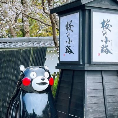 Javascr84800500's profile picture. 