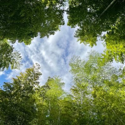 mr_shun2016's profile picture. 基俊介くん大好き / Shizuoka