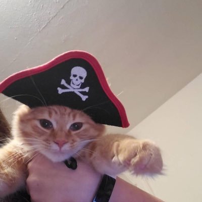 crcketandclovr's profile picture. meow (with a vengeance) 22