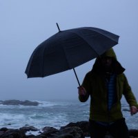 Toltec_k (@toltec_k) 's Twitter Profile