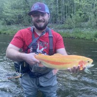 Michael Martino (@miteymiley) 's Twitter Profile