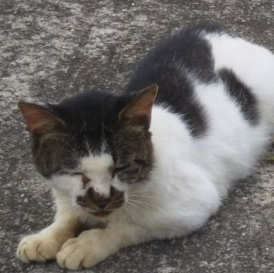 Sasaqyhk's profile picture. 