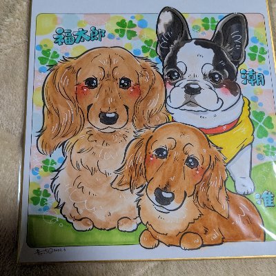 inuone1107's profile picture. 小林賢太郎(ラーメンズ)さん大好き。米津玄師さん大好き。愛犬はダックス准さん、フレブル潮さん（2匹とも2020年虹の橋へ）、ダックス福太郎が仲間入り。賢太郎さんイミノウム横浜11/2　大感謝祭7/13。米津さんJUNK初参船1/30愛知2/27東京　GHOST12/9愛知。