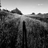 JackBeatnic's profile picture. Photographer: nature & landscape | NFT: Base, Avalanche, Polygon, Tezos, Solana