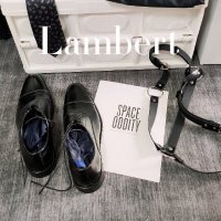 蓝伯Lambert (@1069lambert) 's Twitter Profile