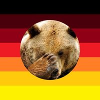 FuTheBear 🇩🇪(@FuTheBear) 's Twitter Profile Photo