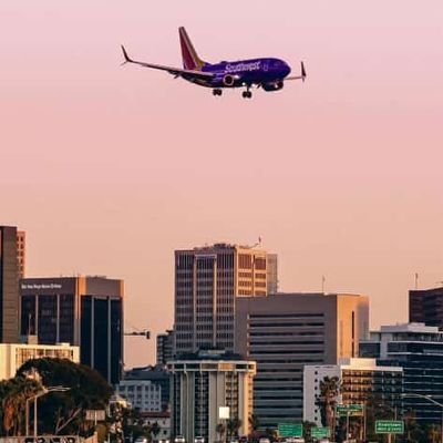 David10520805's profile picture. 