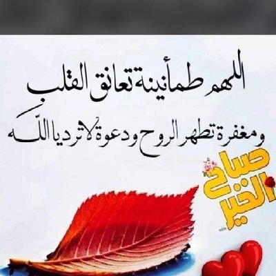fisal0292098638's profile picture. محب للسفر