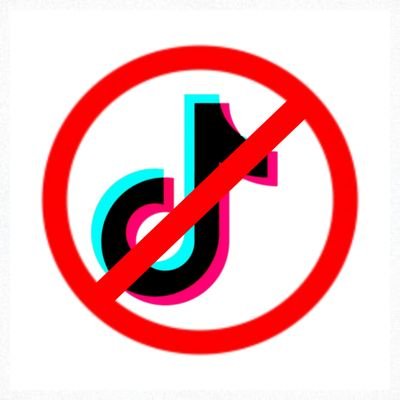 TikTok não deveria existir