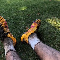 Taconazo (@eltacondedios) 's Twitter Profile