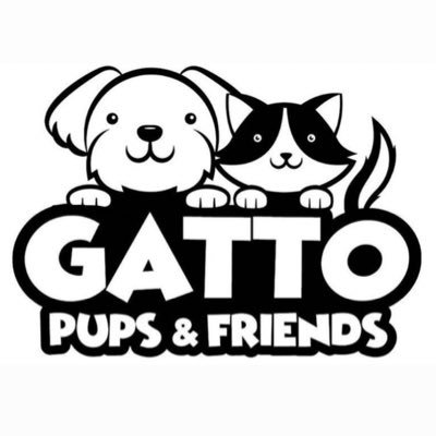 gatto_pups Profile Picture