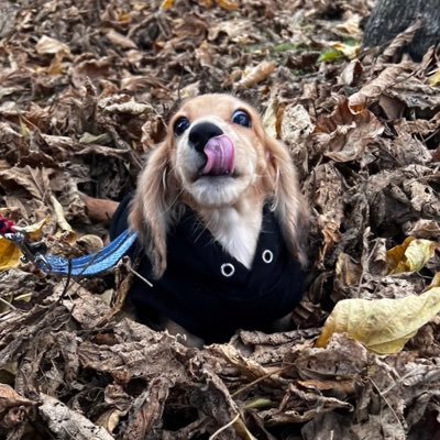 AVA   趣味…釣り 床屋やっておりま〜す
