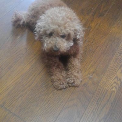 yullFk5doUuyhaH's profile picture. 