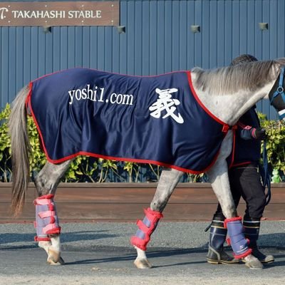 s34Ev8ZJR7xrGQx's profile picture. 