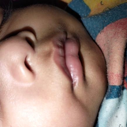 Zolaprl's profile picture. 