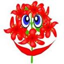 Sandra Weise - @SandraWeise1 - Twitter